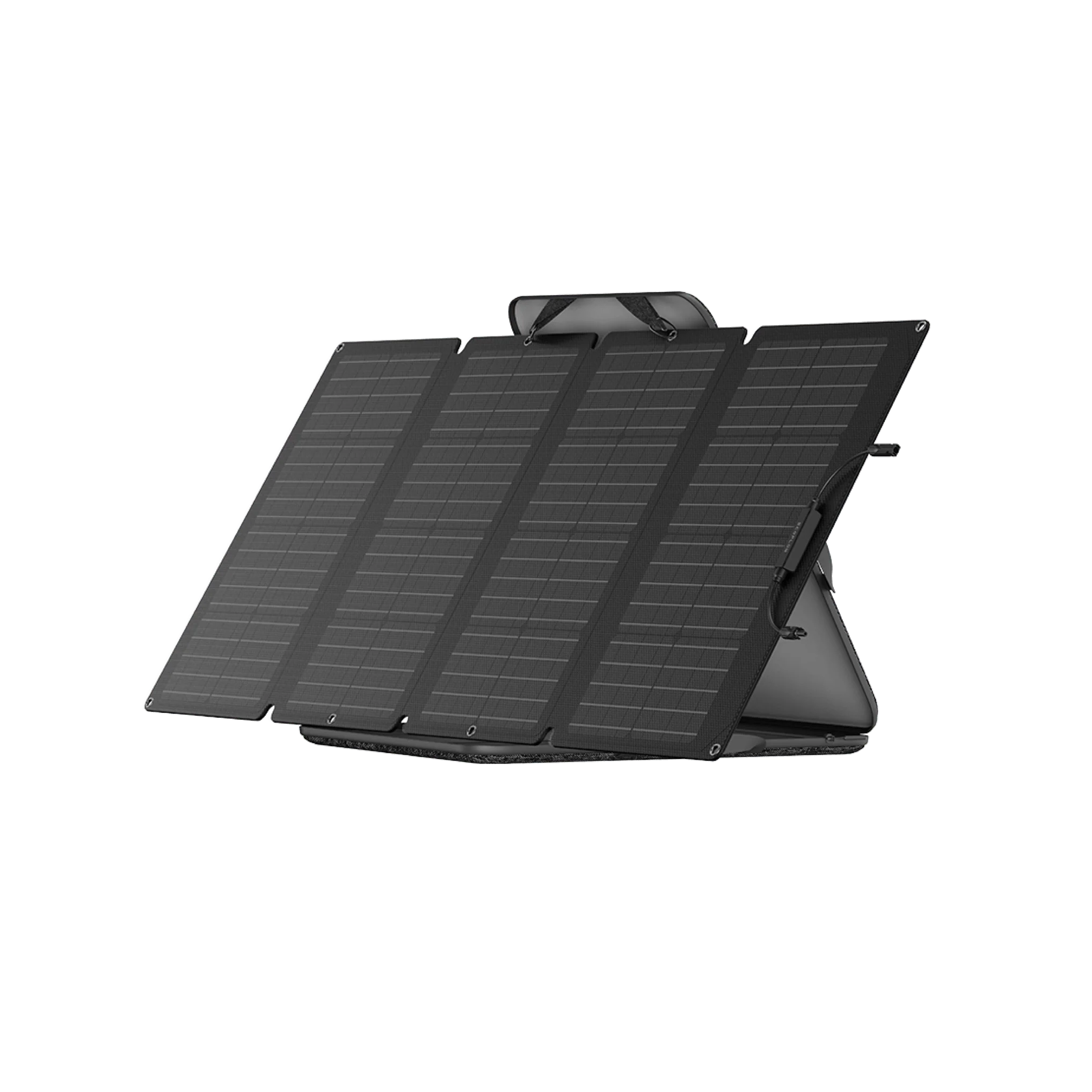Pannello solare da 160 W EcoFlow (accessorio consigliato)