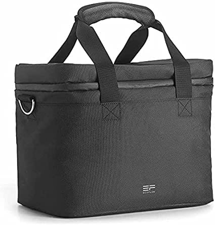 Borsa per EcoFlow RIVER